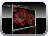 PhotoAd
